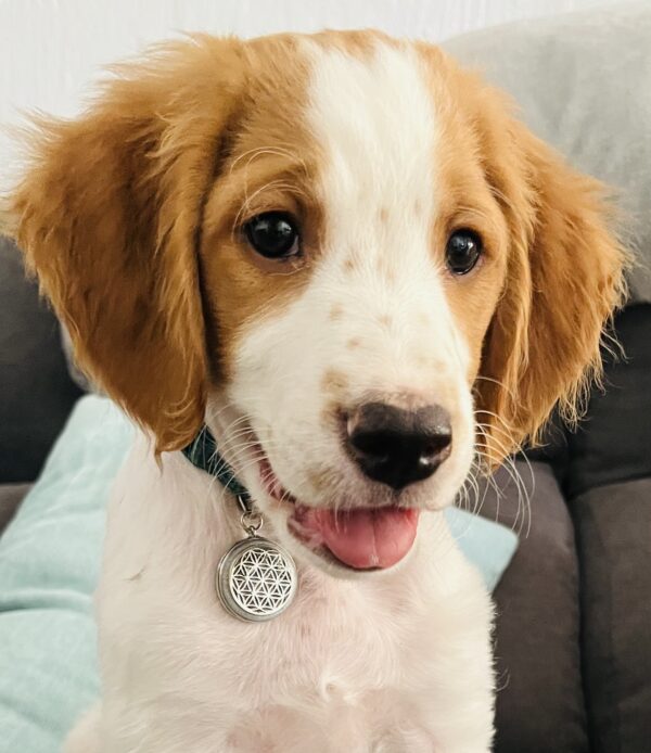 Sacred Geometry KeyChain / Pet-Tag by SOLORO