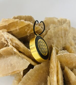 Black & Gold Shungite Pendant by SOLORO