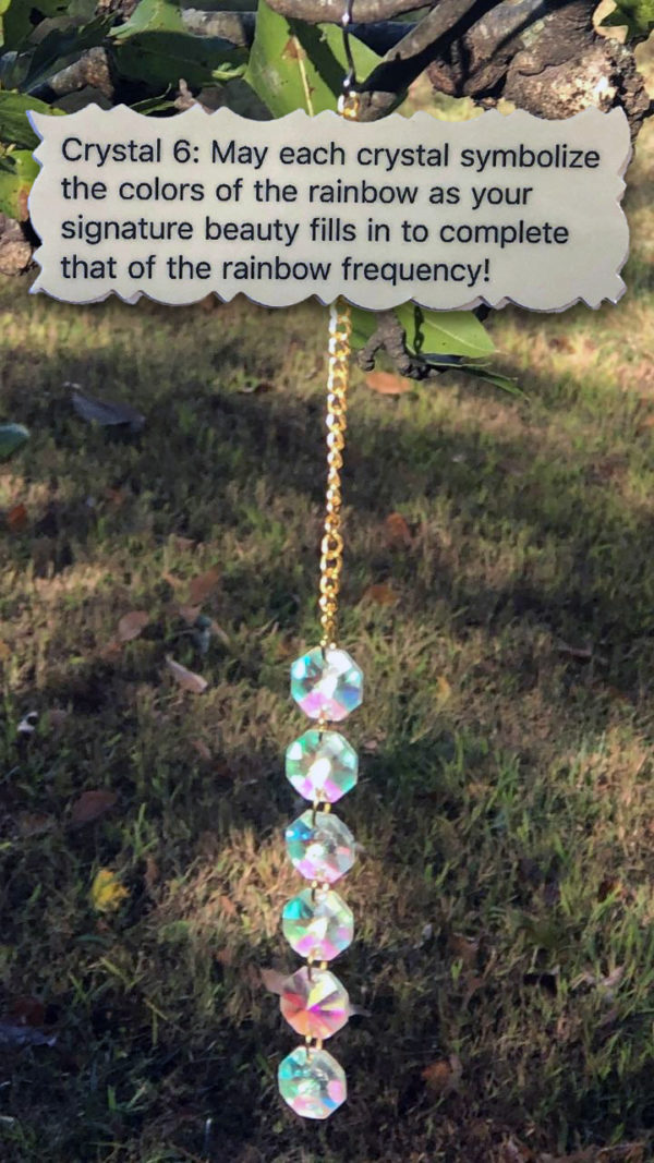 1 TJ Crystal 6 Crystal Suncatchers