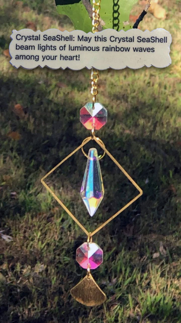5 Tj Crystal Seashells Crystal Suncatchers